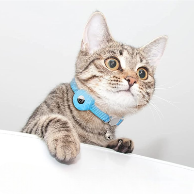 Collier Airtag Chat - CatAirTagCollar™ - Bleu